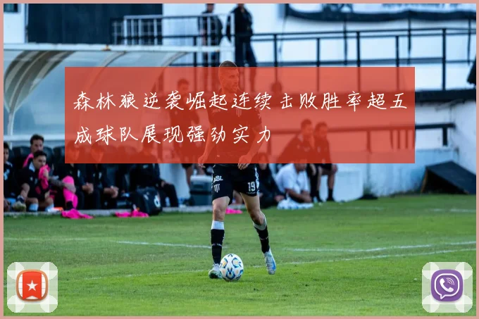 森林狼逆袭崛起连续击败胜率超五成球队展现强劲实力