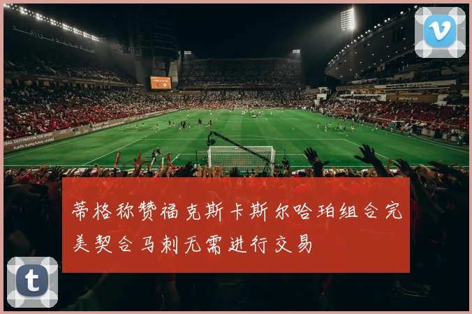 蒂格称赞福克斯卡斯尔哈珀组合完美契合马刺无需进行交易