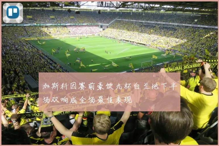 加斯科因赛前豪饮九杯白兰地下半场双响成全场最佳表现