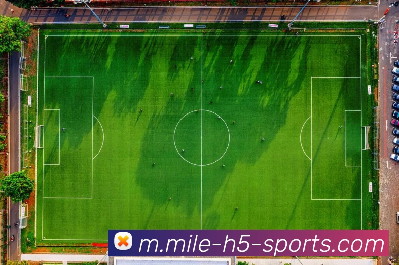 米乐体育平台生态图