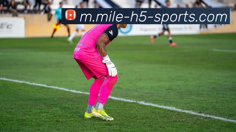 米乐体育全站App